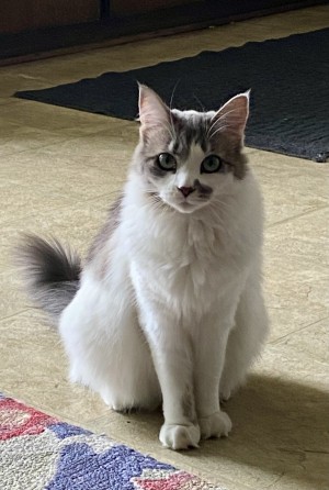 Photo of Prudence