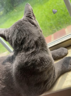 Photo of Zen