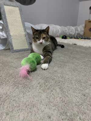 Photo of Zoe