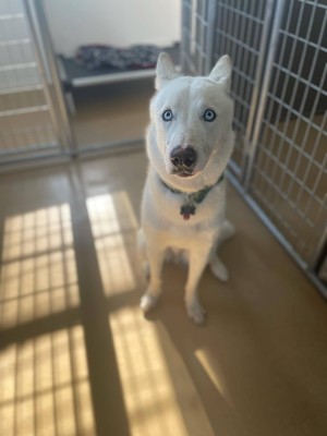 Photo of Waylon