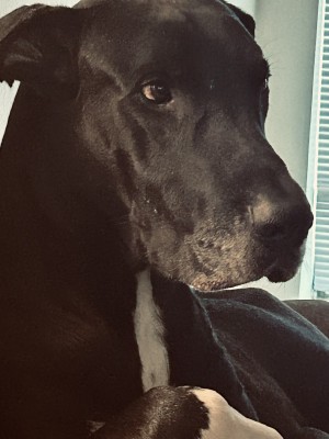 Photo of Charlie