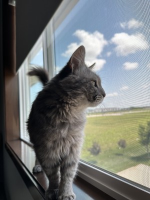 Photo of Hugo