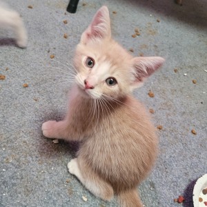 Photo of Not Named