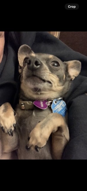 Photo of Renia