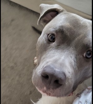Photo of Peanut Butter
