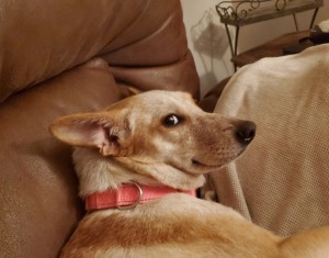 Photo of Marcy