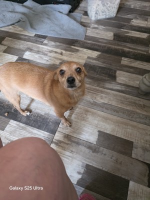 Photo of Coco