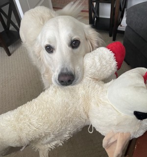 Photo of Abby