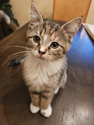 Photo of Amity