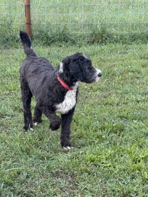 Photo of Hazel
