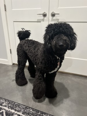 Photo of Monty