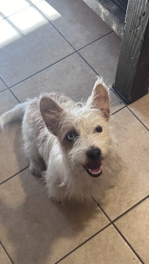 Photo of Daisy