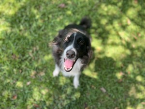 Photo of Freyja