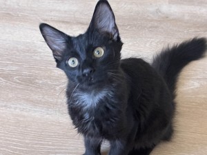 Photo of Void
