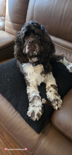 Photo of Walter