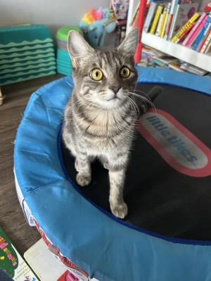 Photo of Kuromi