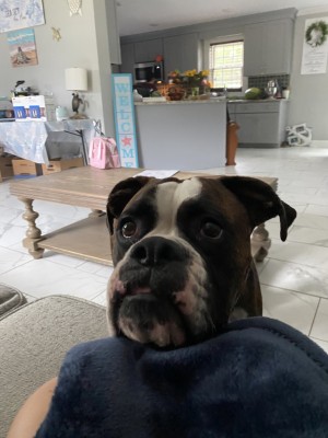 Photo of Duke