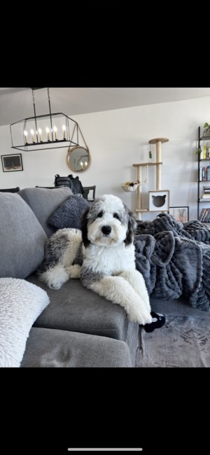 Photo of Wally