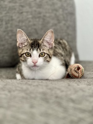 Photo of Mack