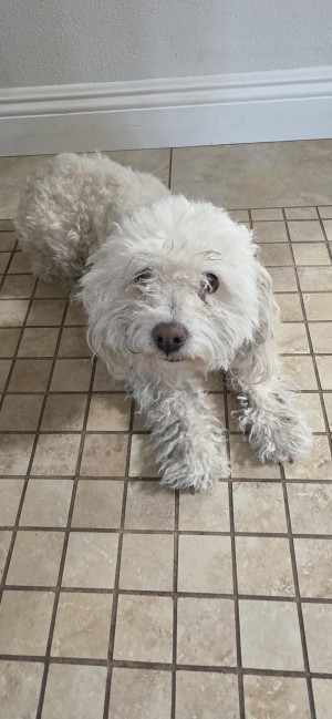 Photo of Minnie