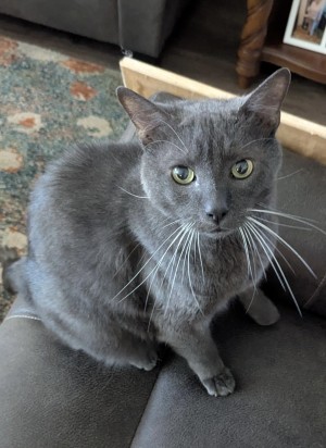 Photo of Ares