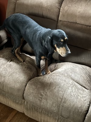 Photo of Rayne