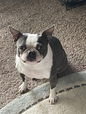 Photo of Maci