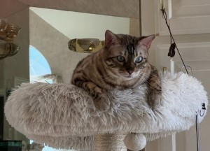 Photo of Sparkle
