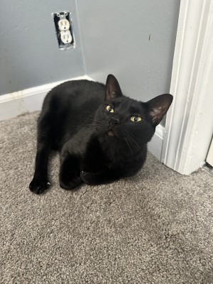 Photo of Sabrina