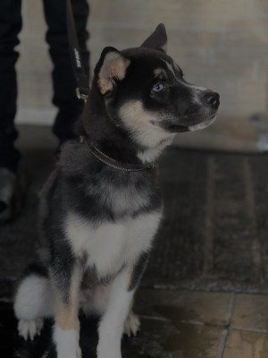 Photo of Zeus