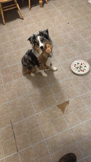 Photo of Flash