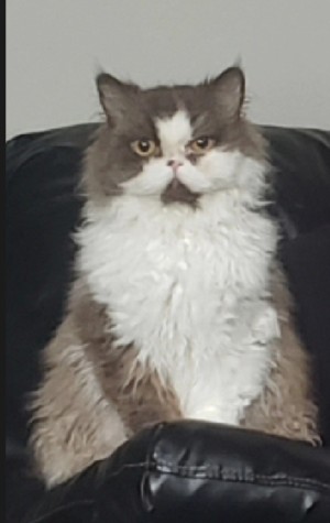 Photo of Jovi