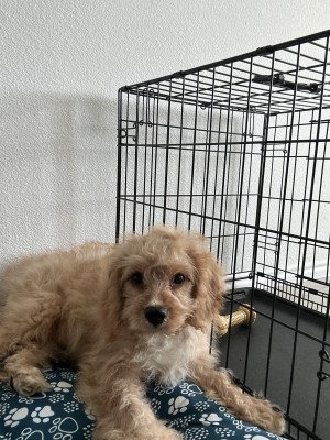 Photo of Stanley