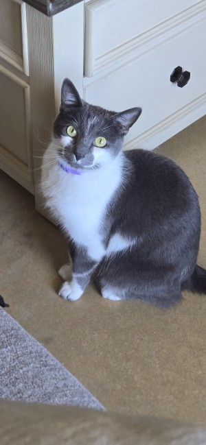 Photo of Leia