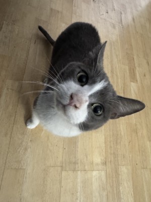 Photo of Zero
