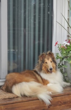 Photo of Holly