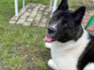 Photo of Nikita