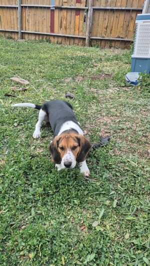 Photo of Sunny