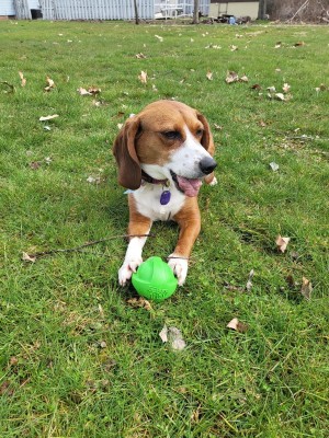 Photo of Maggie