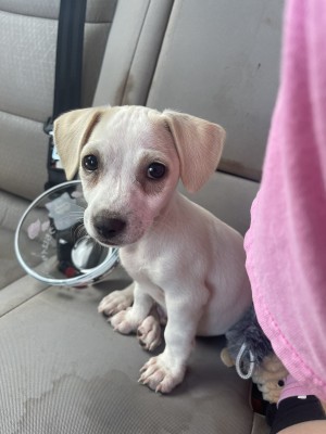 Photo of Pablo