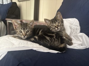 Photo of No Name