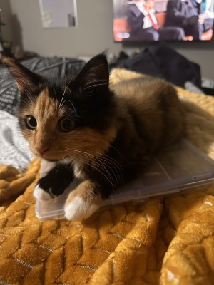 Photo of Ms. Girl