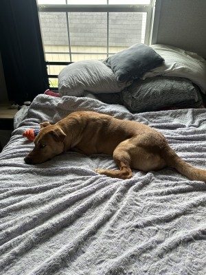 Photo of Ares
