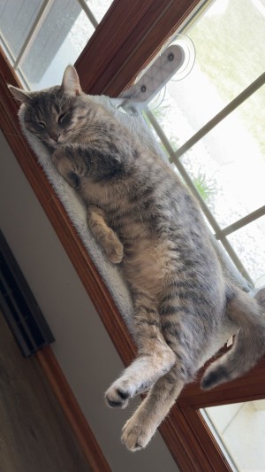 Photo of Luna