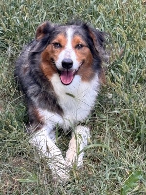 Photo of Ellie