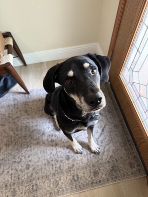 Photo of Duke
