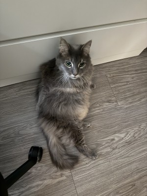 Photo of Sammie