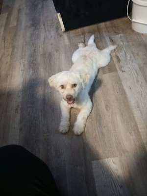 Photo of PrettyBoy
