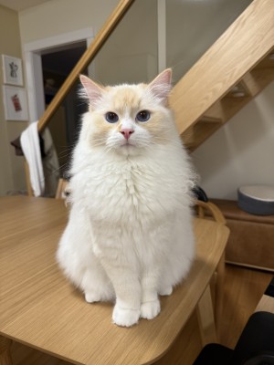 Photo of Max