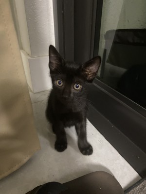 Photo of Void